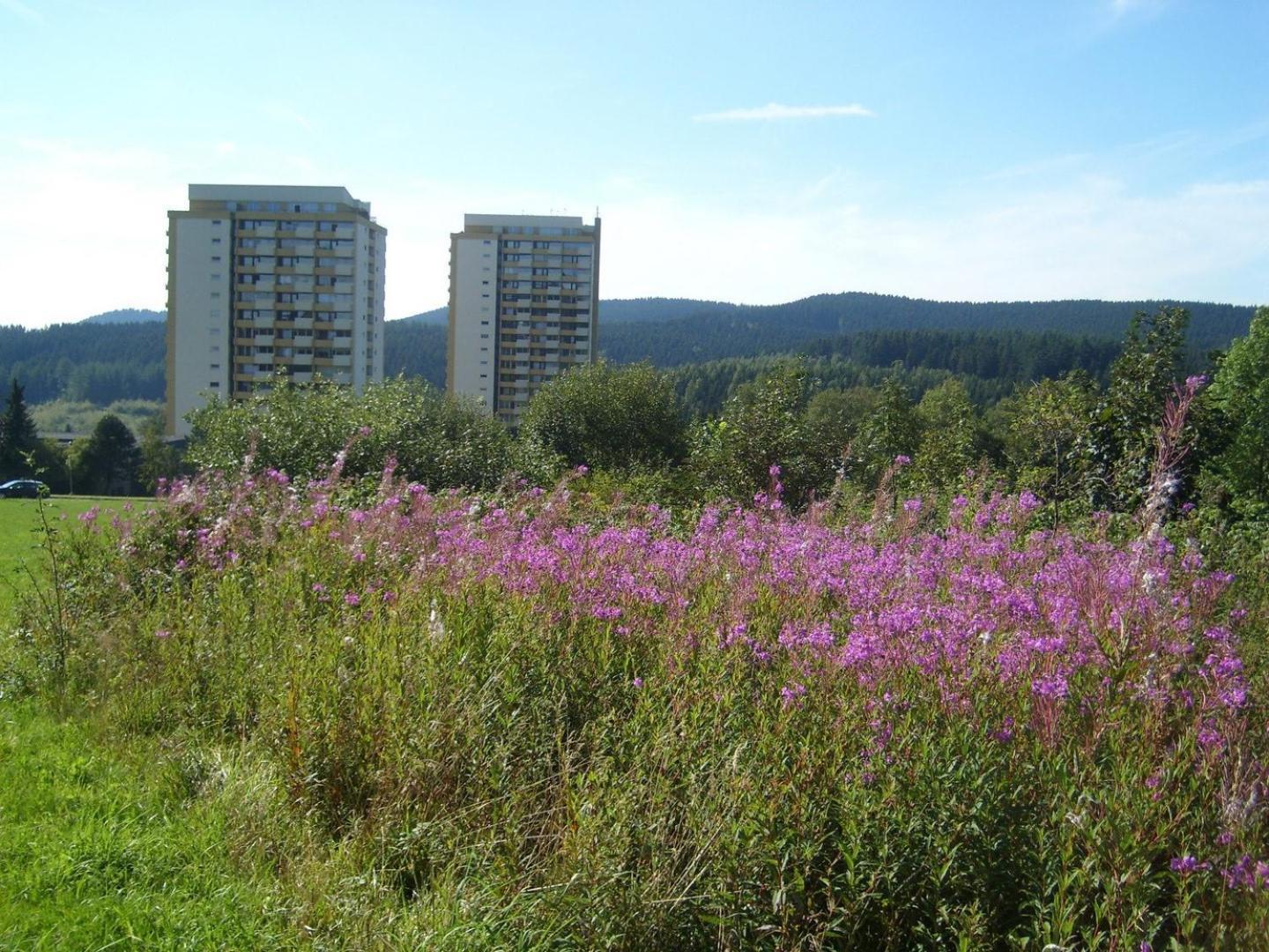 Neu! Fewo Panoramablick Hohegeiss Pool Und Sauna 外观 照片